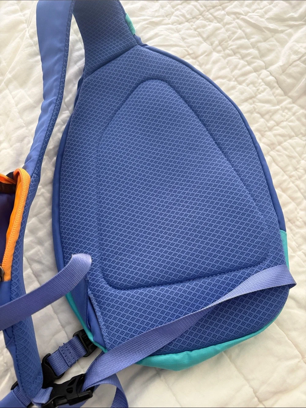 Vintage Patagonia Atom 8L Sling Bag Periwinkle & Mint